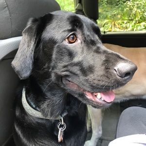 Meet your Posher, Caroline